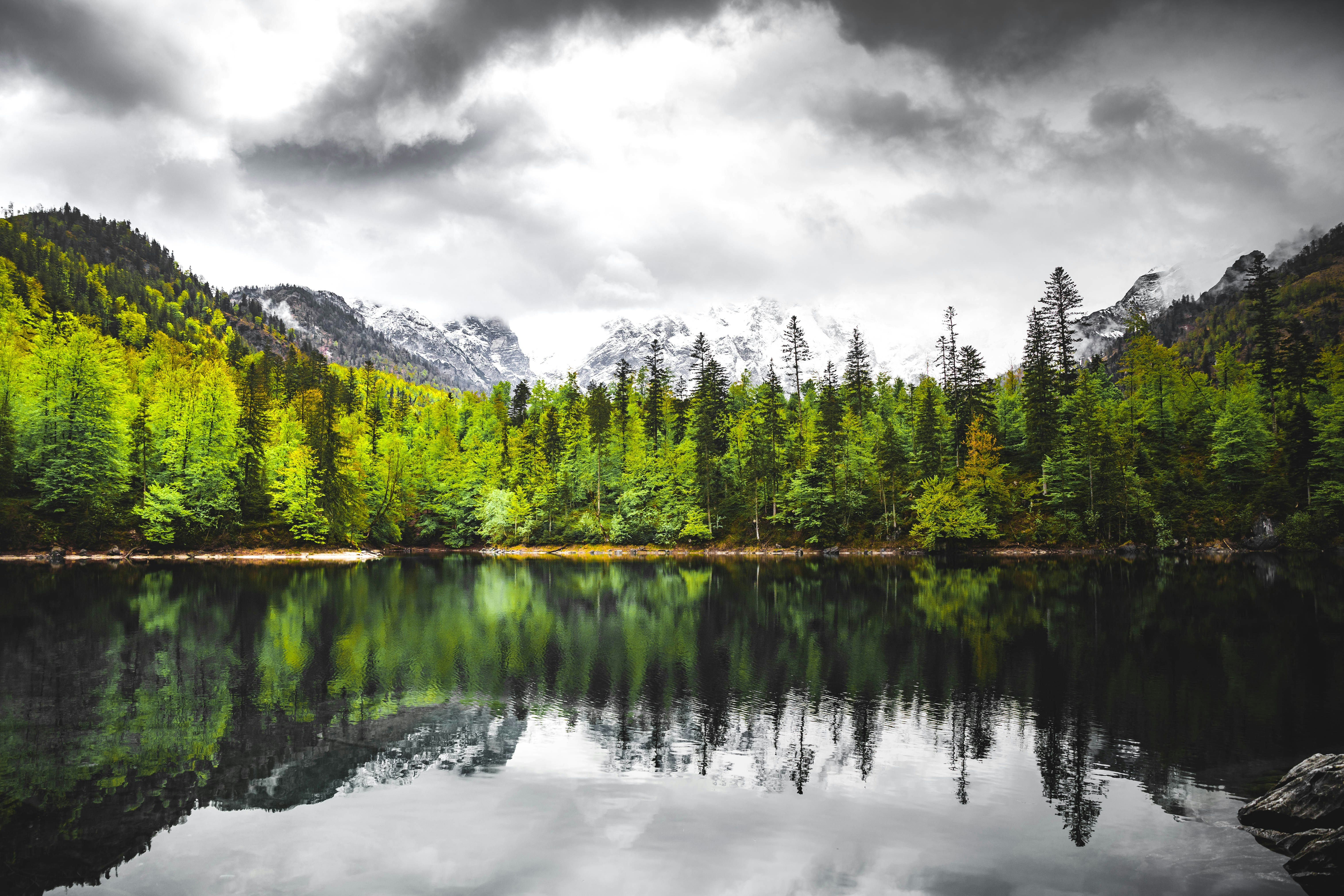 green trees beside lake under white cloudy sky during daytime